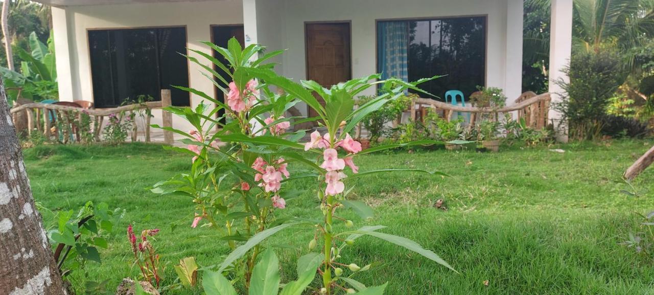 Andnindot Garden Resort Anda (Visayas) Exterior foto