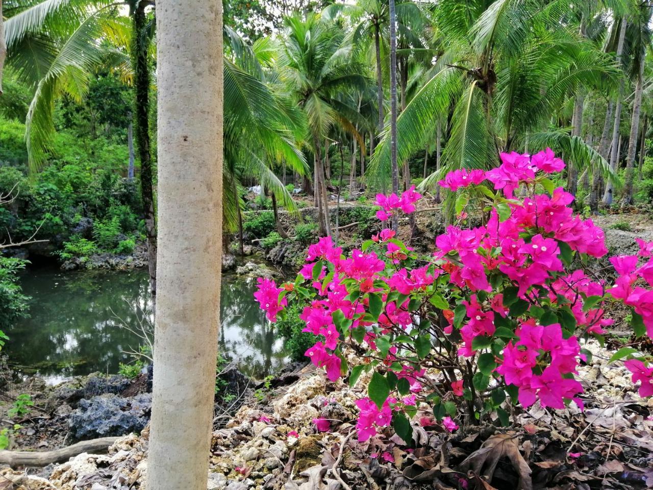 Andnindot Garden Resort Anda (Visayas) Exterior foto